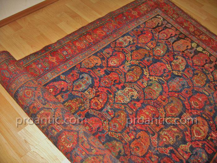 Tapis Persan Bidjar Ancien Fin XIXème Siècle-photo-4