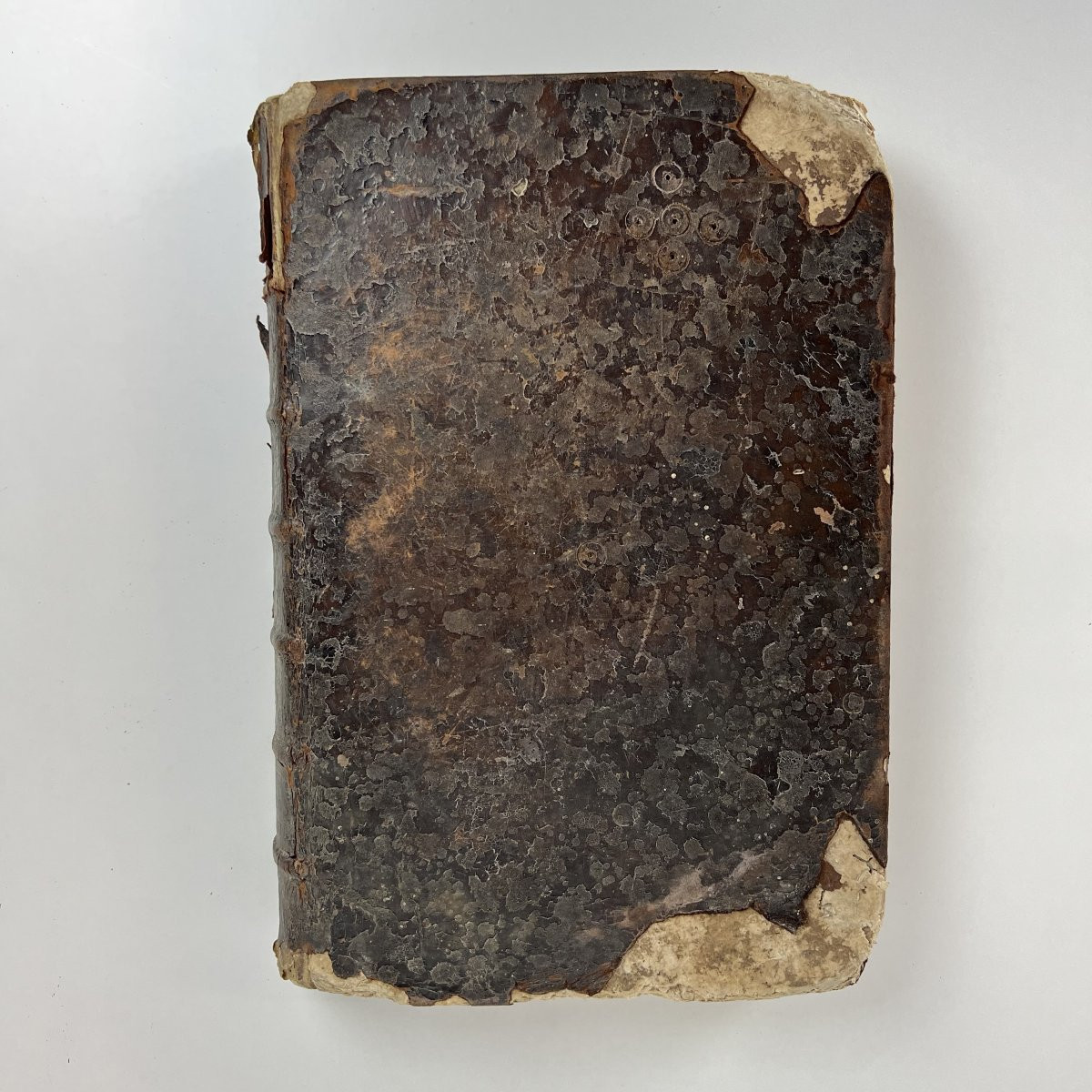Livre du XVIIe siècle sous Louis XIV - Histoire générale des drogues, P. Pomet 1694-photo-2