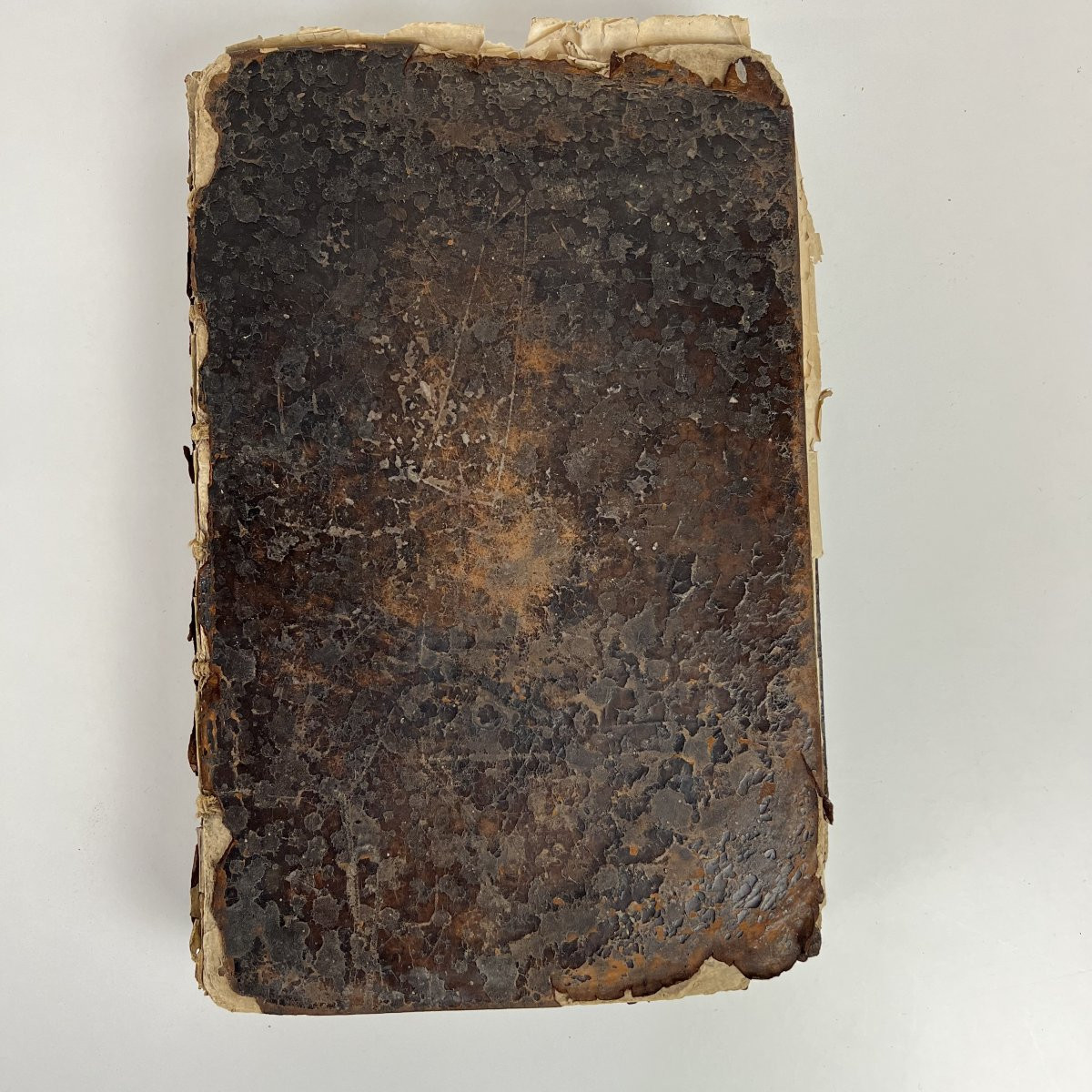 Livre du XVIIe siècle sous Louis XIV - Histoire générale des drogues, P. Pomet 1694-photo-3