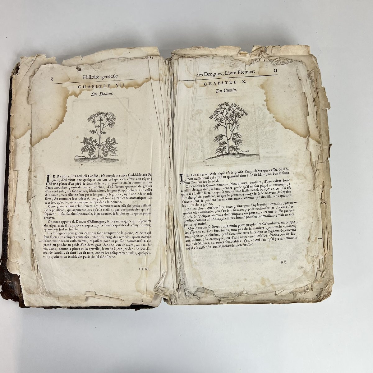 Livre du XVIIe siècle sous Louis XIV - Histoire générale des drogues, P. Pomet 1694-photo-4