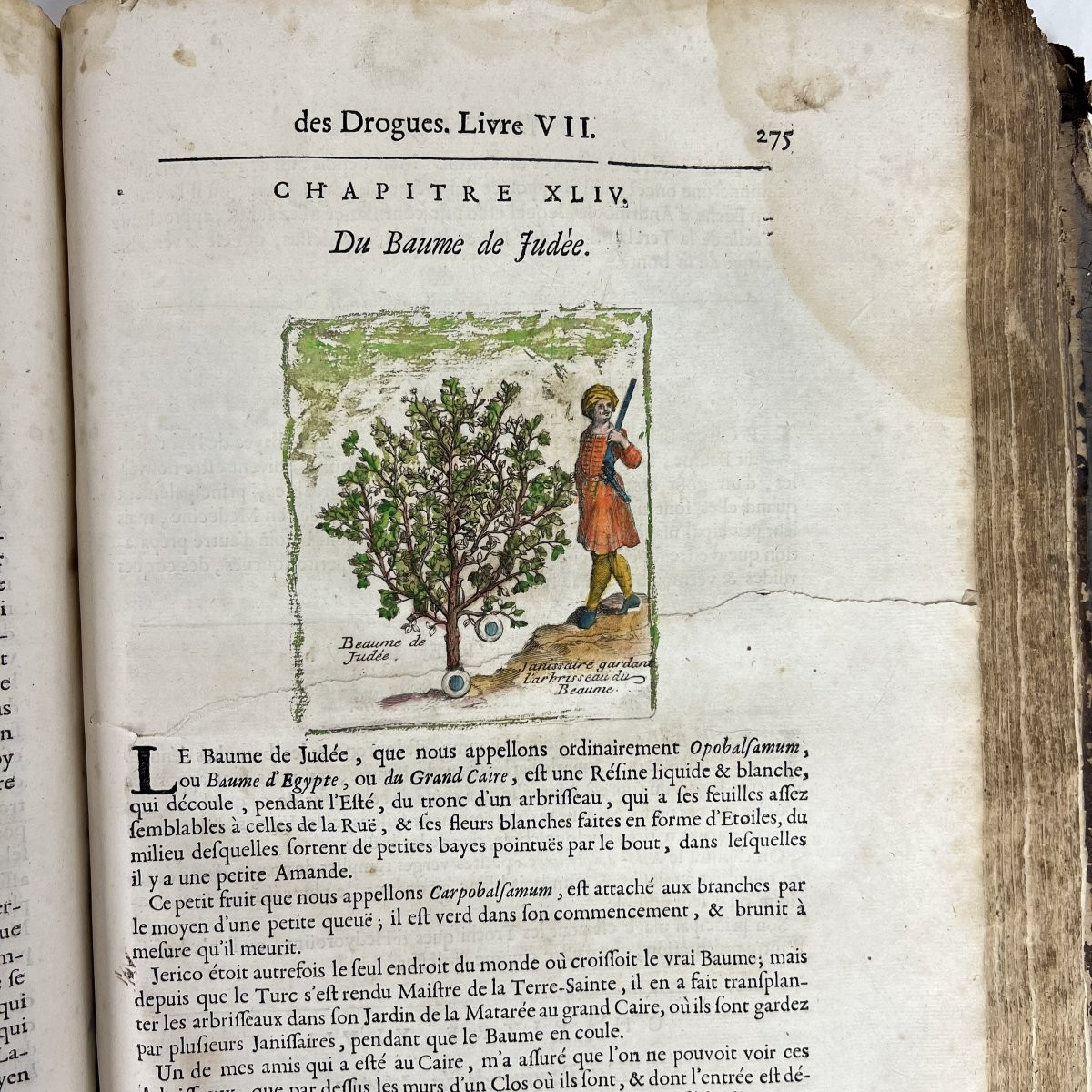 Livre du XVIIe siècle sous Louis XIV - Histoire générale des drogues, P. Pomet 1694-photo-8