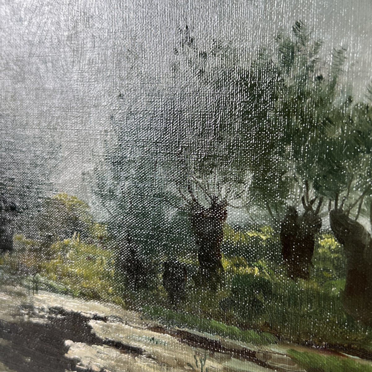 Oil On Canvas, Landscape, Claudius Peyrache (1860–1940) France, Willows By The Water's Edge-photo-2