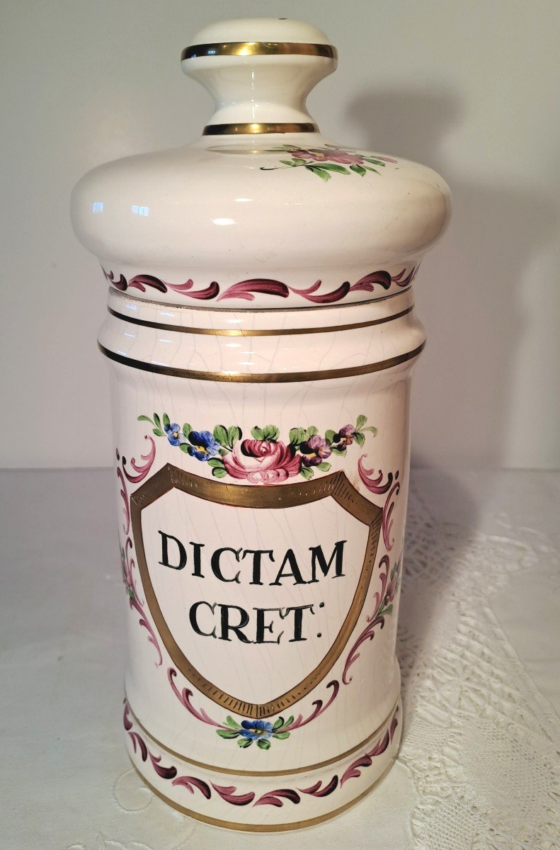 Apothecary's Pot In Hand-painted Earthenware, 19th Century
