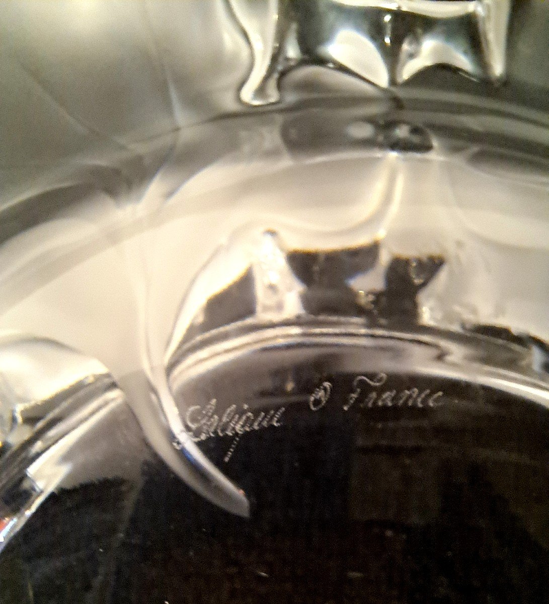 Lalique, Large Coupe en Cristal à Décor de Fleur, Modèle Capucine ou Nasturtia, XXème-photo-3