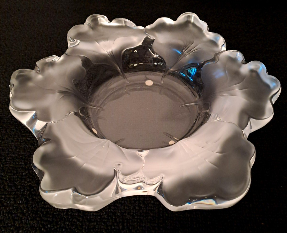 Lalique, Large Coupe en Cristal à Décor de Fleur, Modèle Capucine ou Nasturtia, XXème-photo-1