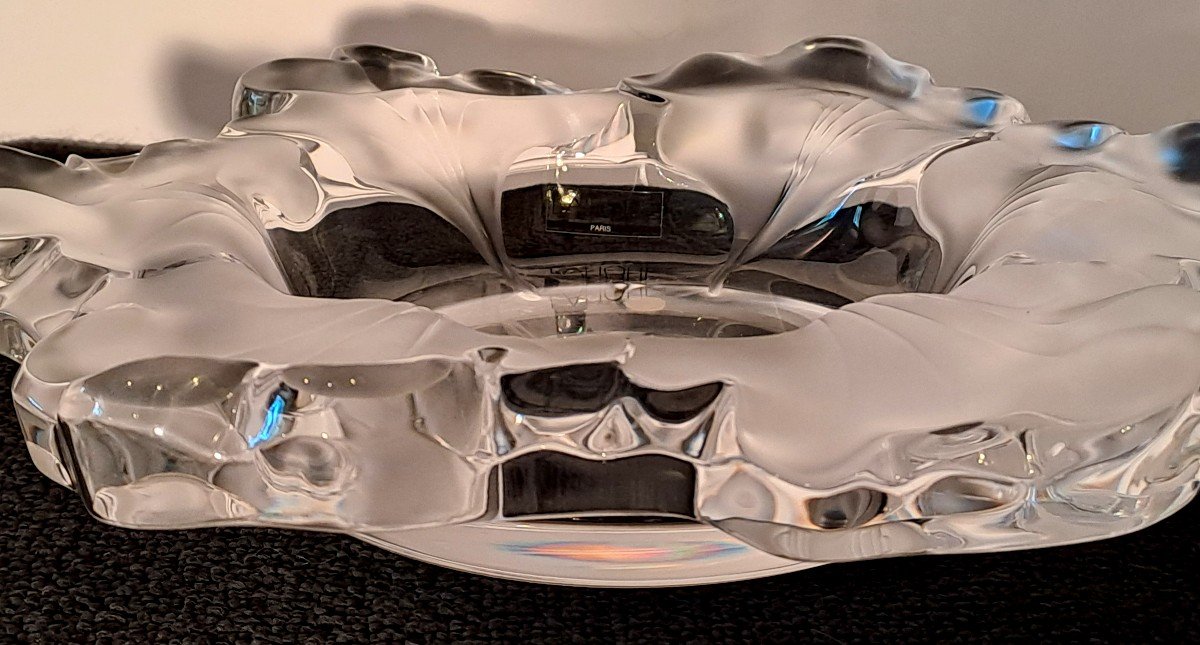 Lalique, Large Coupe en Cristal à Décor de Fleur, Modèle Capucine ou Nasturtia, XXème-photo-5