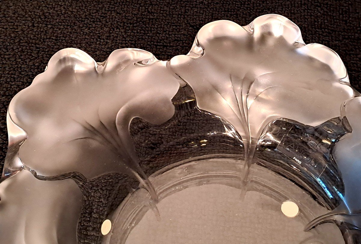 Lalique, Large Coupe en Cristal à Décor de Fleur, Modèle Capucine ou Nasturtia, XXème-photo-7
