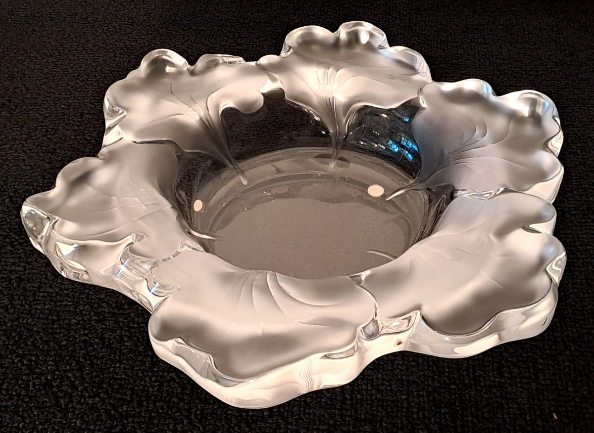 Lalique, Large Coupe en Cristal à Décor de Fleur, Modèle Capucine ou Nasturtia, XXème