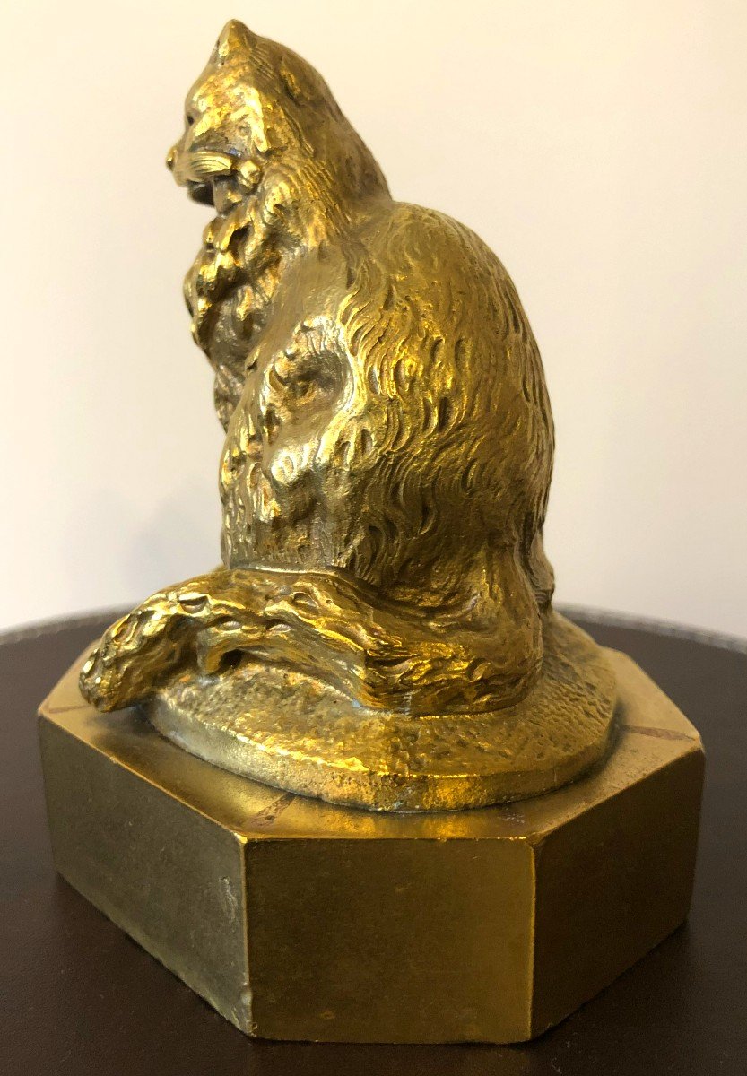 Gilt Bronze Cat, Late 19th - Early 20th Century-photo-3