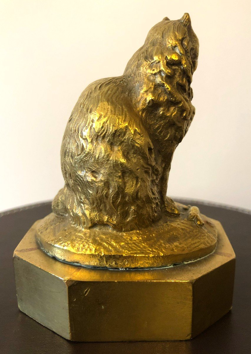 Gilt Bronze Cat, Late 19th - Early 20th Century-photo-2