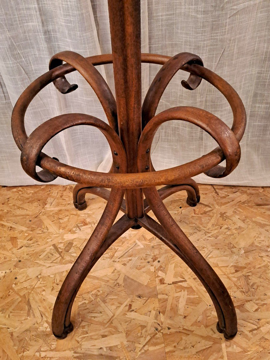Thonet Jugendstil Parrot Coat Rack With 8 Branches, Early 20th Century-photo-3