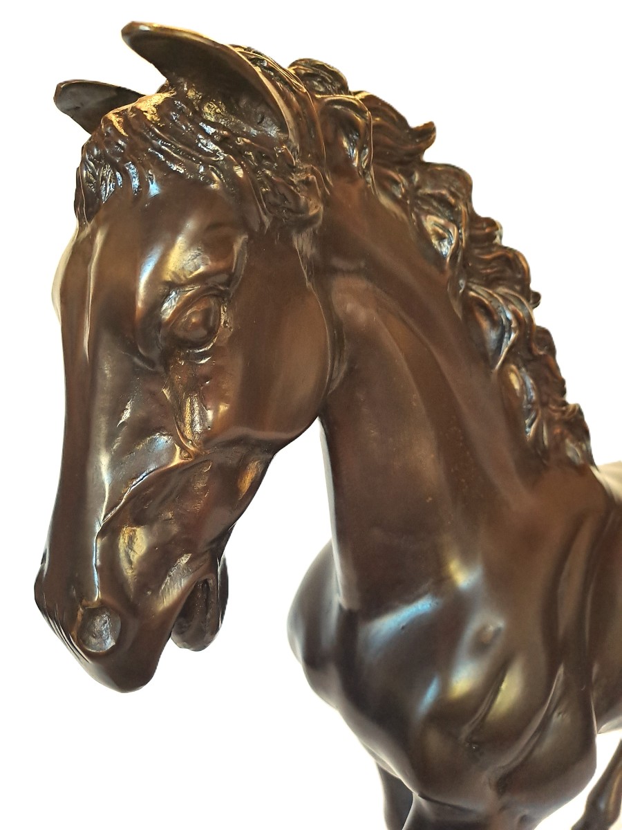 Important Thoroughbred Stallion Horse, Bronze Cast With Brown Patina, 20th Century-photo-6