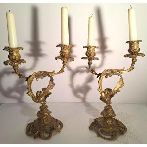 Pair Of Gilt Bronze Candelabras In The Louis XV Style, 19th Century