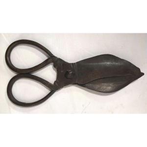 Antique Hammered Wrought Iron Scissors, 18th Century
