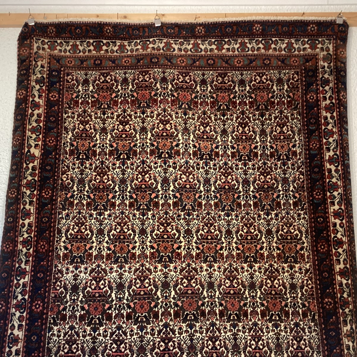 Carpet Afchard-photo-1