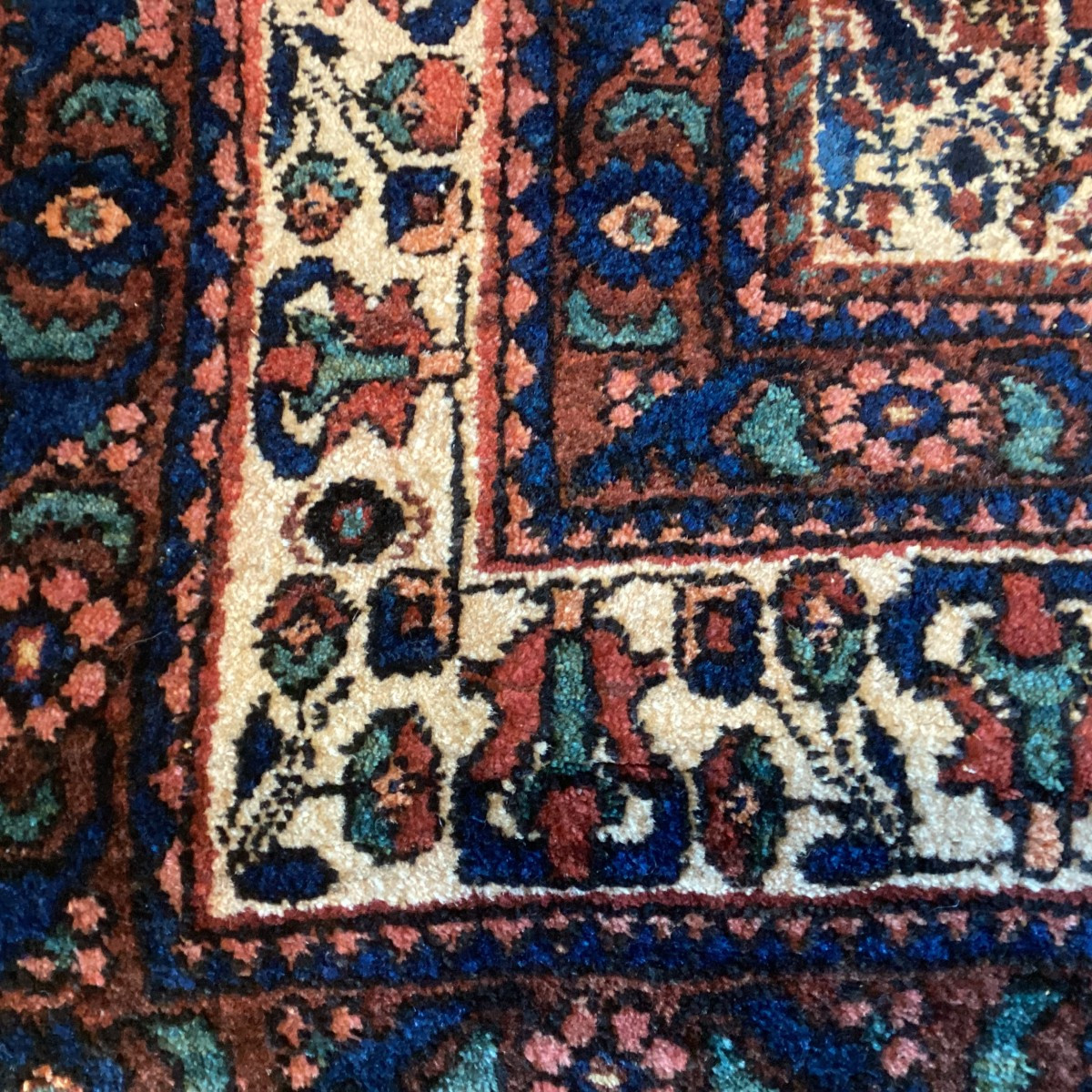 Carpet Afchard-photo-2