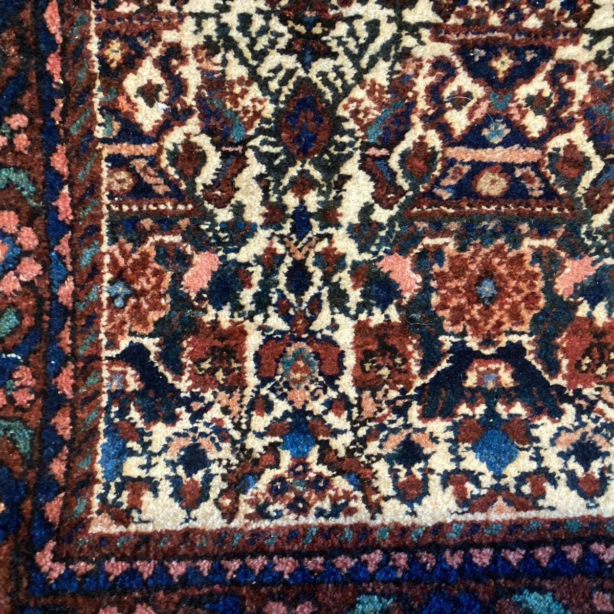Carpet Afchard-photo-3
