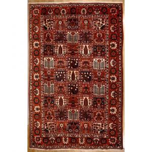 Bakhtiar Saman Rug