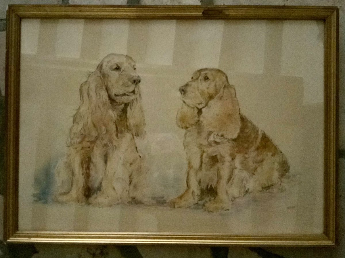 Aquarelle «couple De Chiens »-photo-2