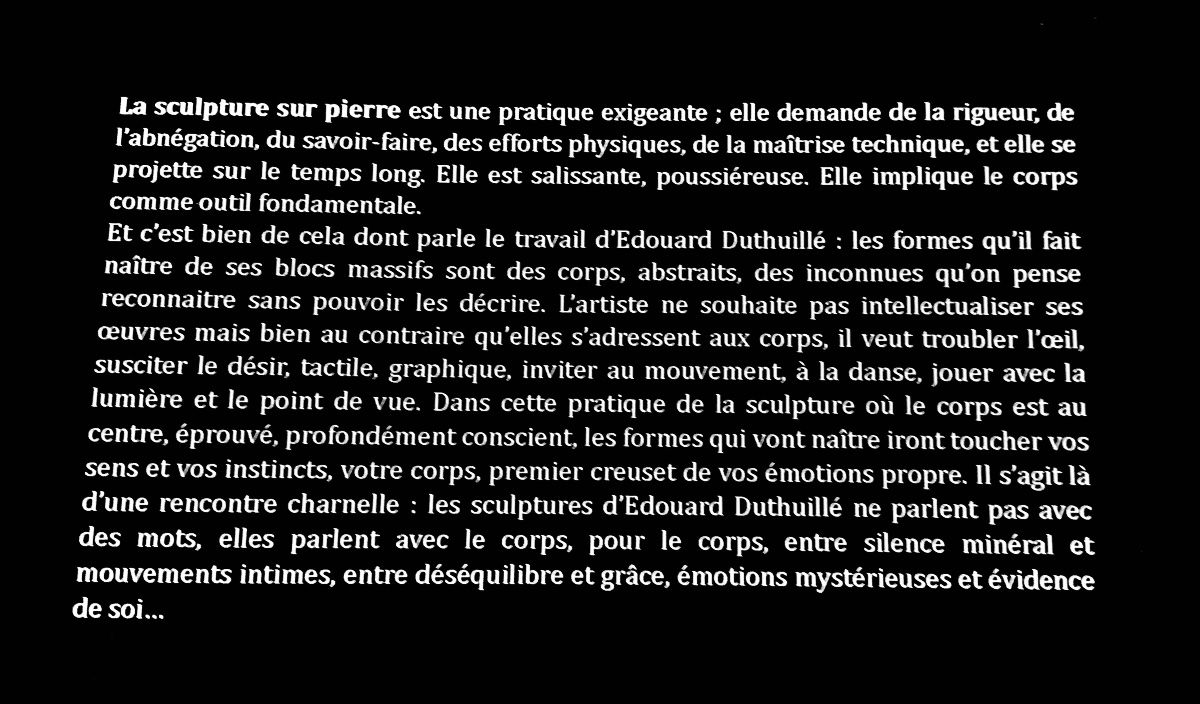 Abstract Sculpture By édouard Duthuillé-photo-8