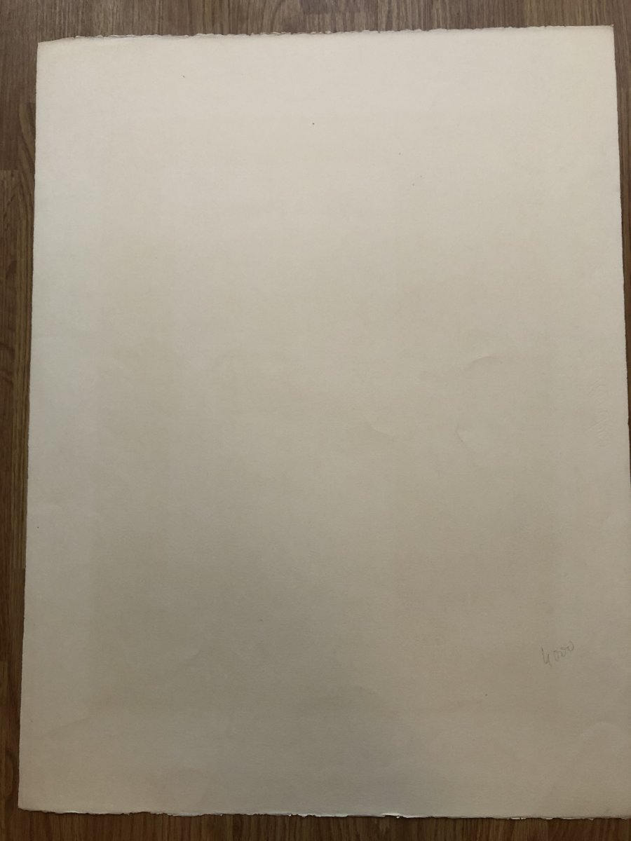 Lithographie Épreuve d'Artiste Signée, Dédicacée De Roland Topor Années 1970/80-photo-1