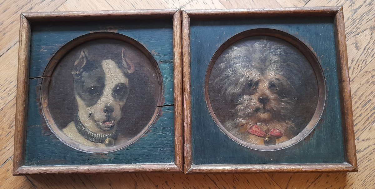 2 portraits de chien-photo-4