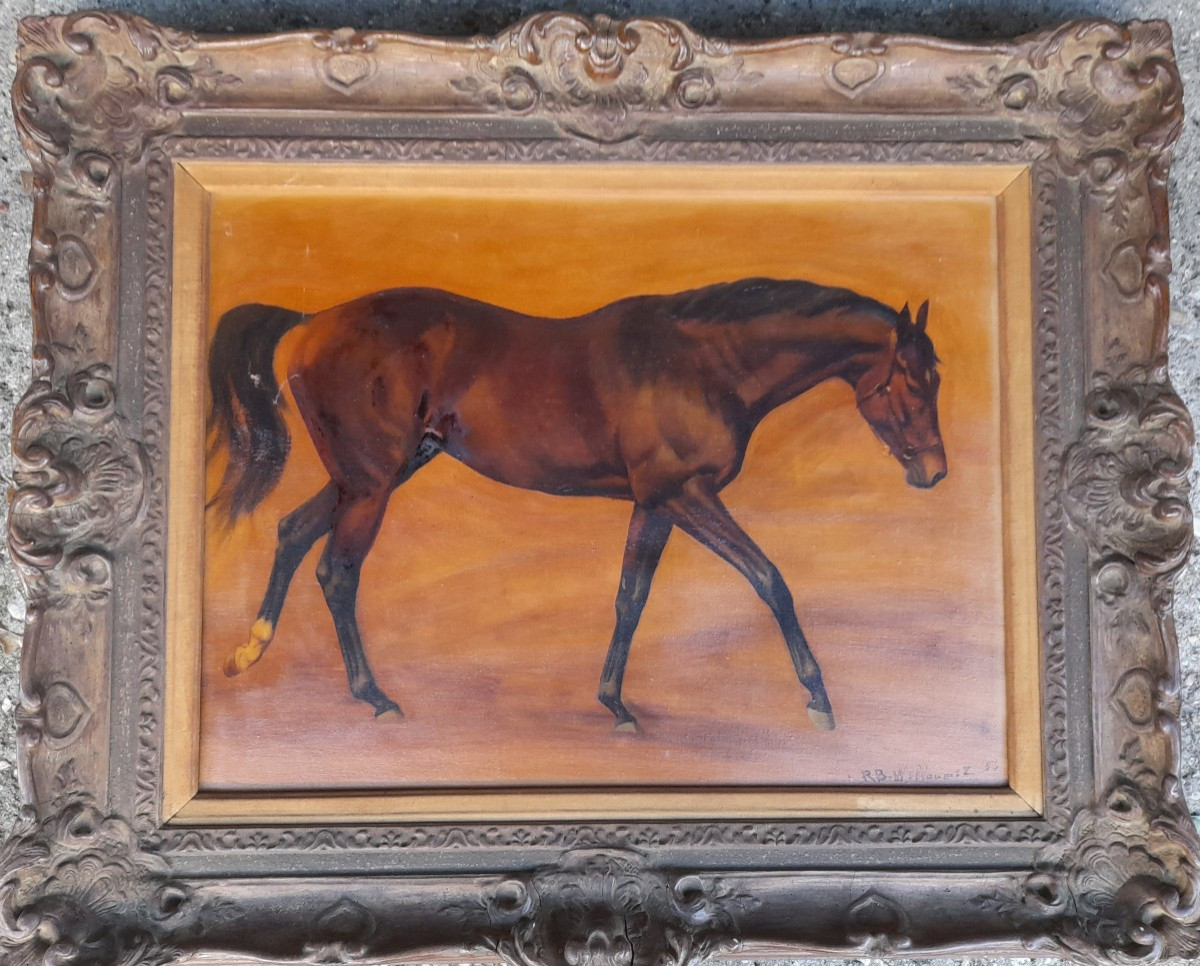 Portrait de cheval-photo-2
