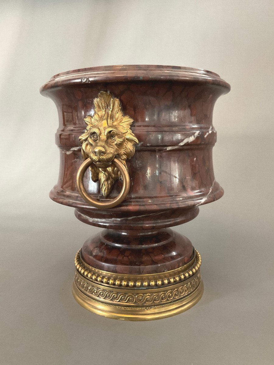 Cache Pot In Red Morello Marble Mufles De Lions 19th-photo-7