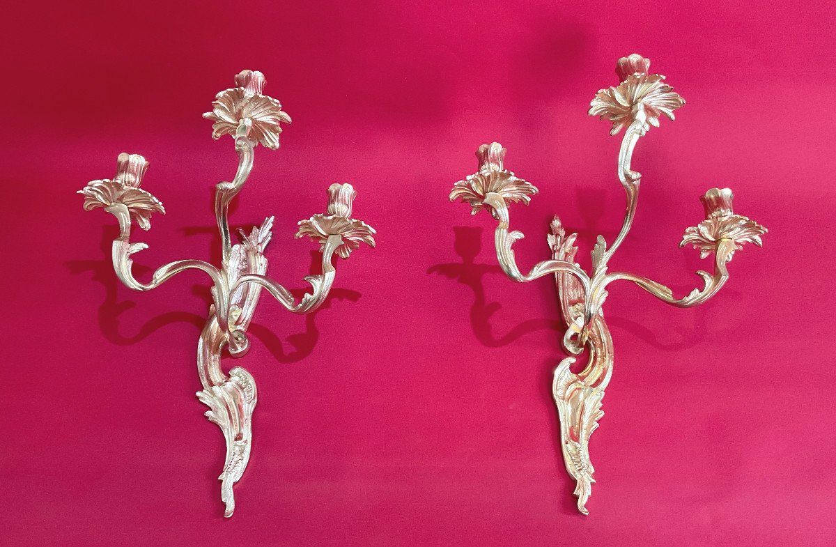 Pair Of 3 Branches Wall Lights In Gilt Bronze Louis XV Style 19th-photo-2