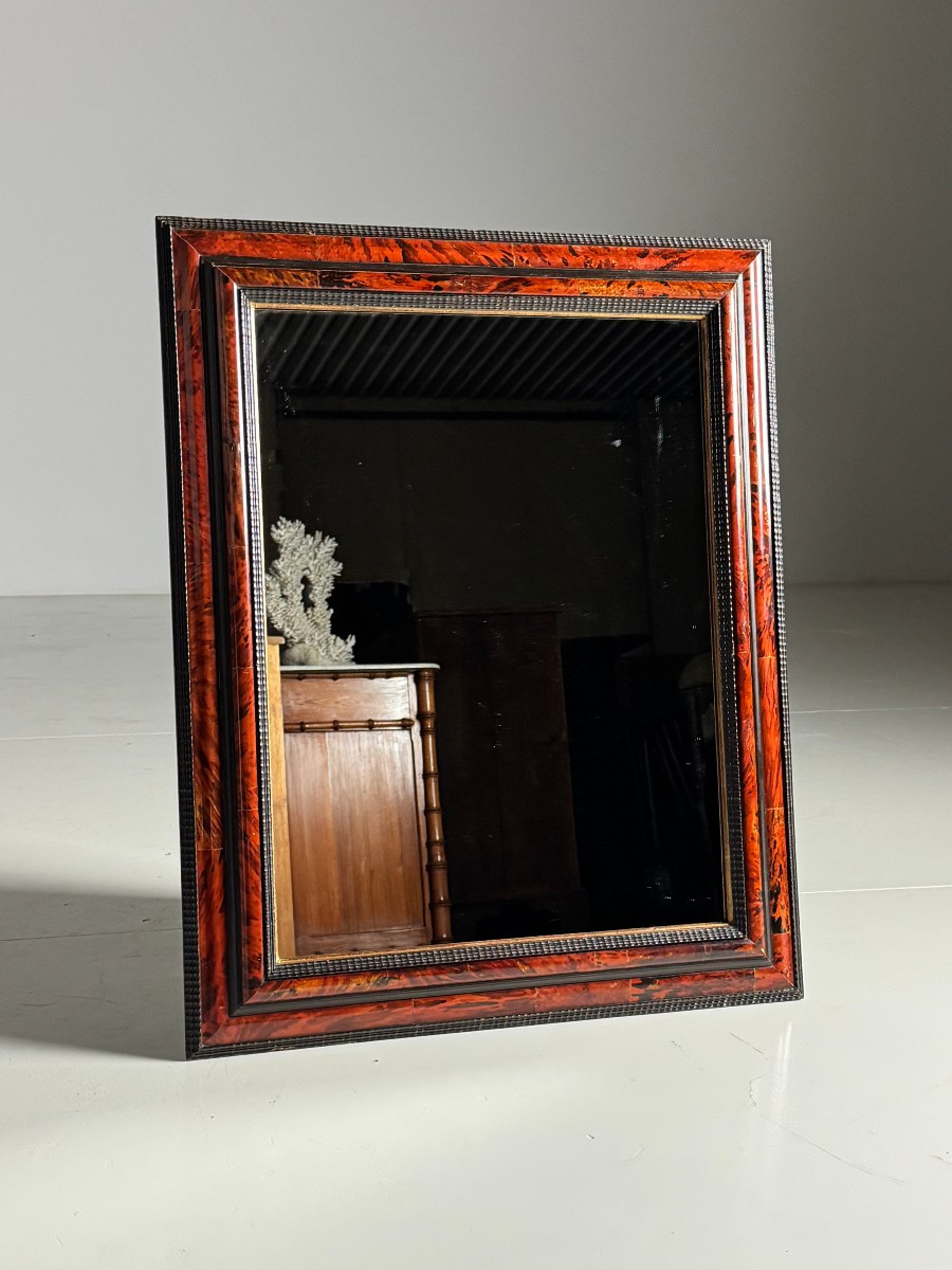 Spiegel Wavy Tortoiseshell Frame