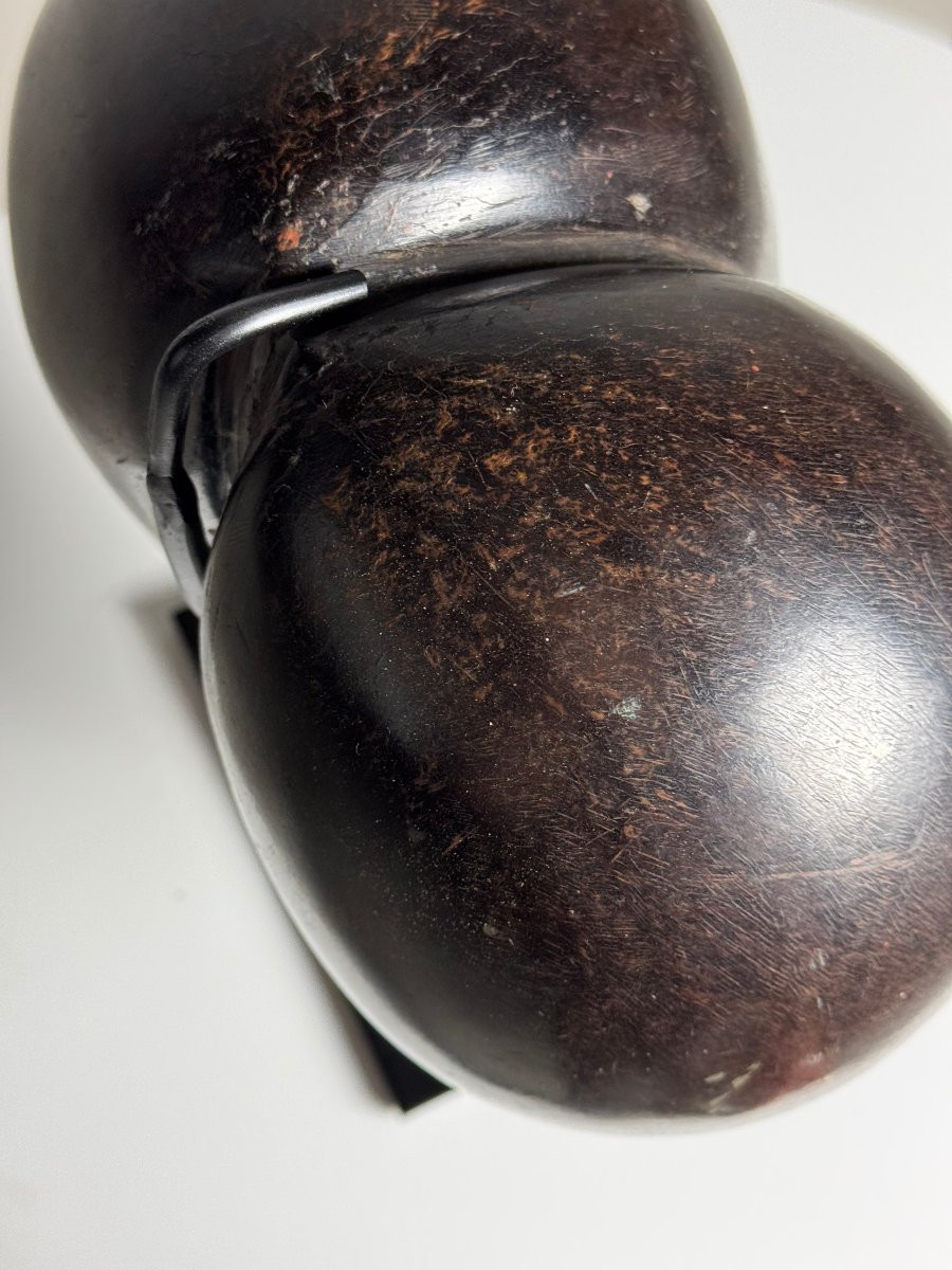 Coco De Mer Poli Sur Pied-photo-3