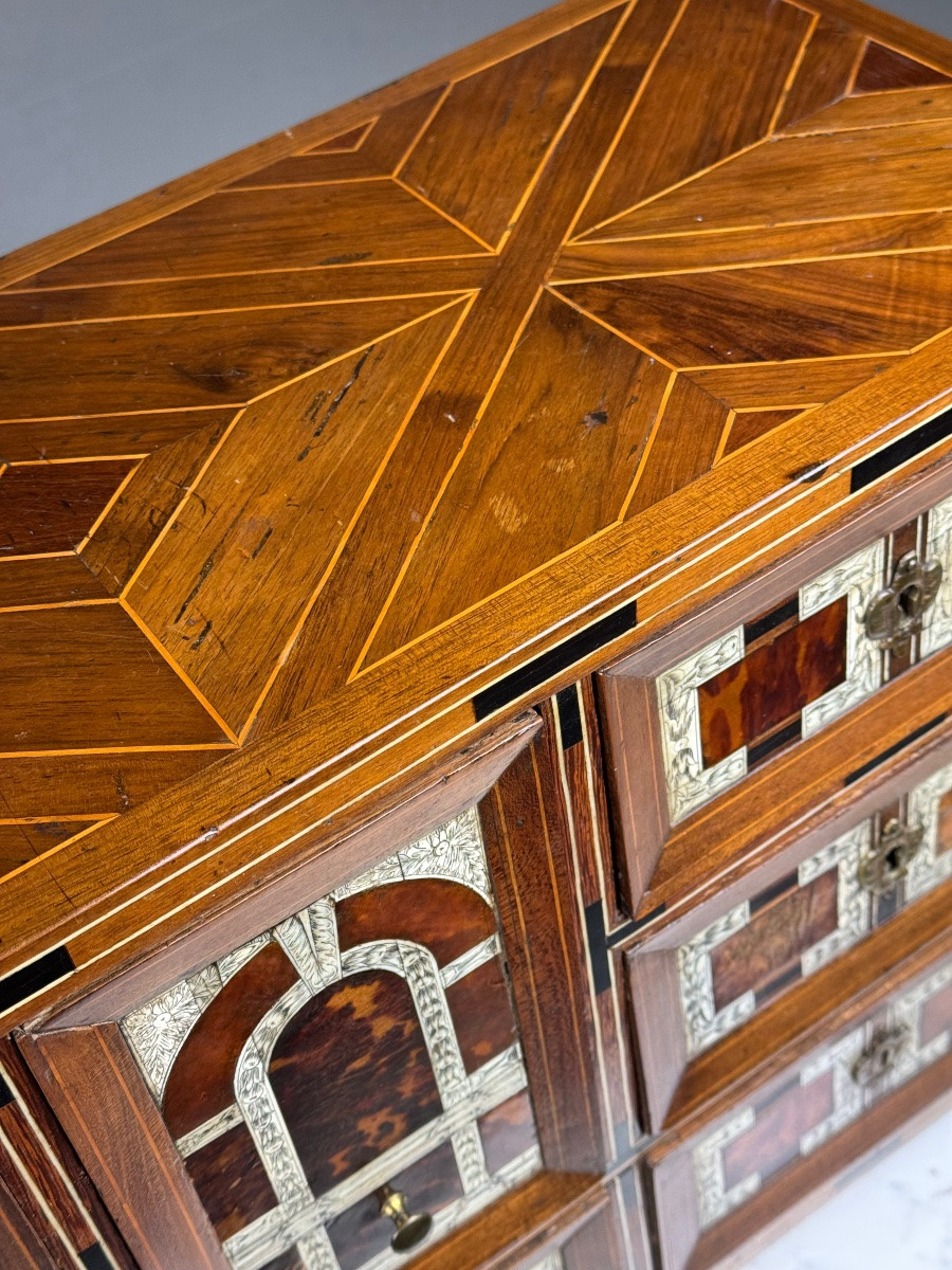 19th Century Art Cabinet In Wood With Ebony, Turtle And Bone Inlay-photo-1