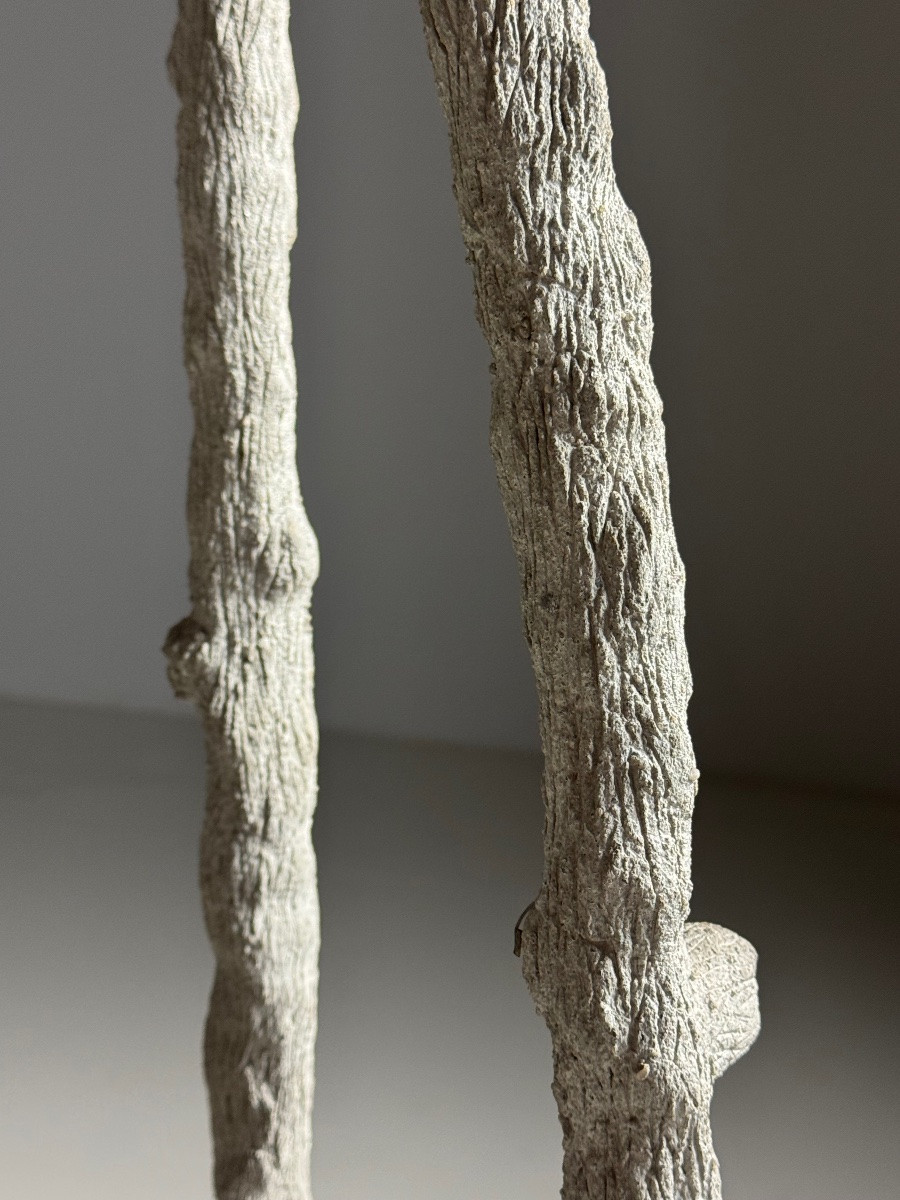 Faux Bois Concrete Column -photo-8