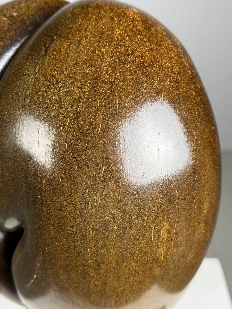 Polished Sea Coconut-photo-2