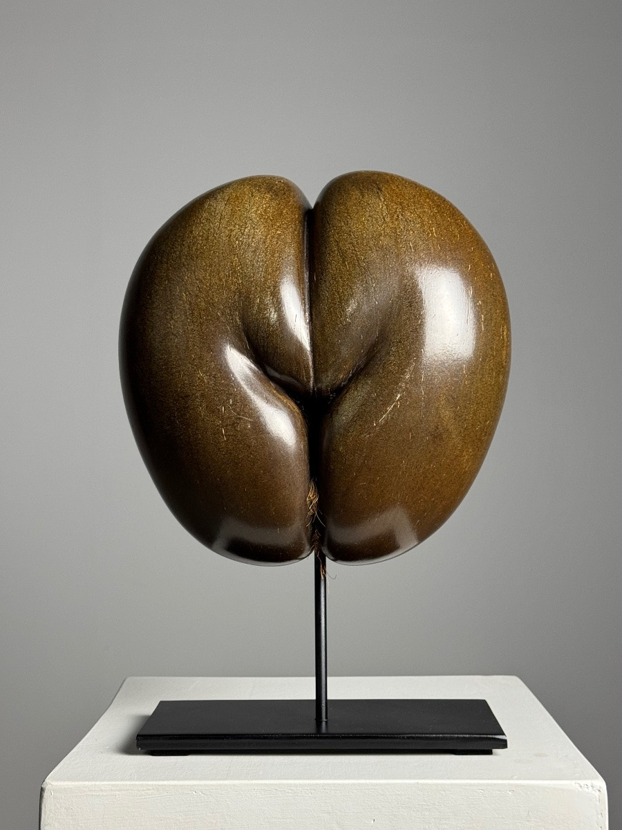 Polished Sea Coconut-photo-3