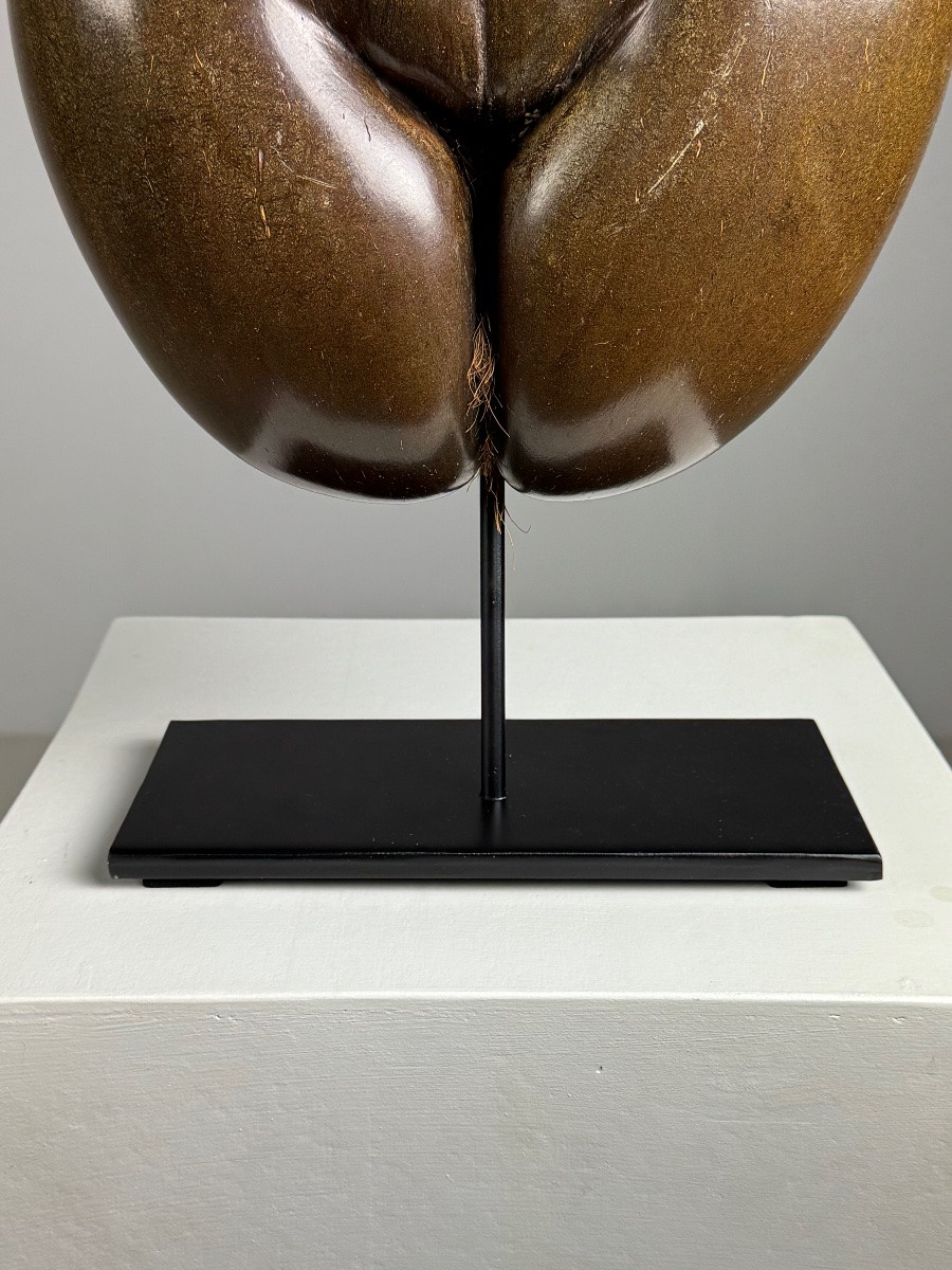 Polished Sea Coconut-photo-5