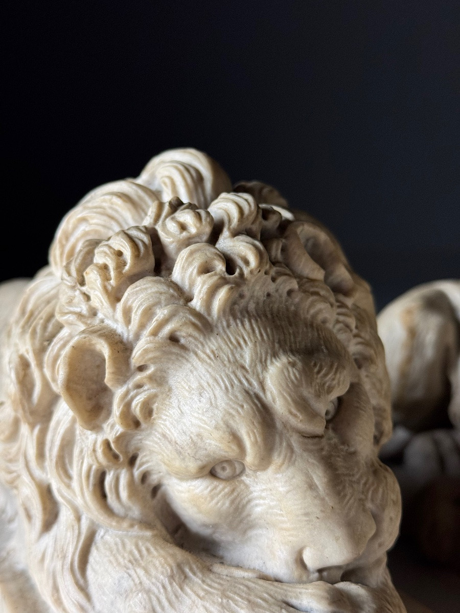 2 Lions en fonte de marbre d'après Canova-photo-7
