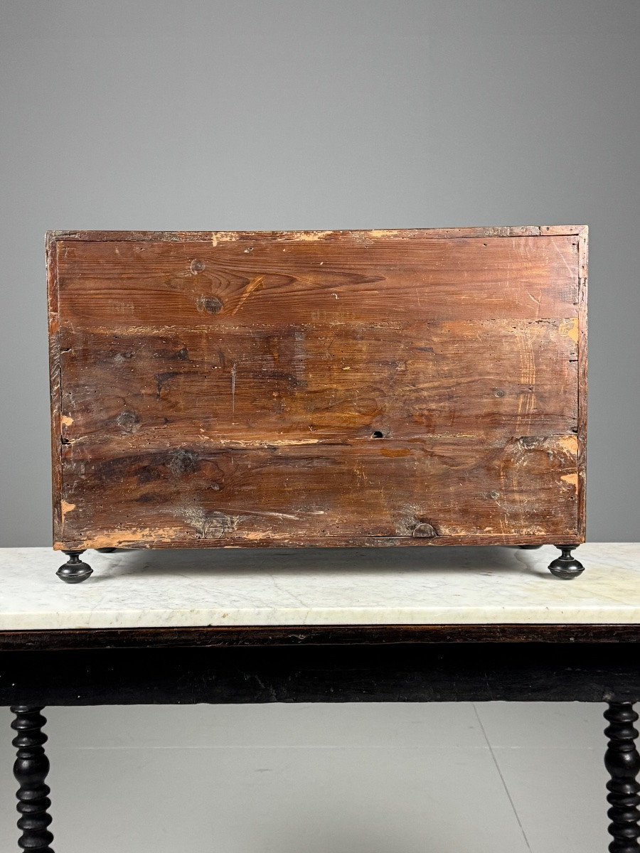 19th Century Art Cabinet In Wood With Ebony, Turtle And Bone Inlay-photo-2