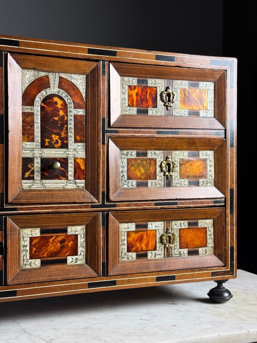19th Century Art Cabinet In Wood With Ebony, Turtle And Bone Inlay-photo-4
