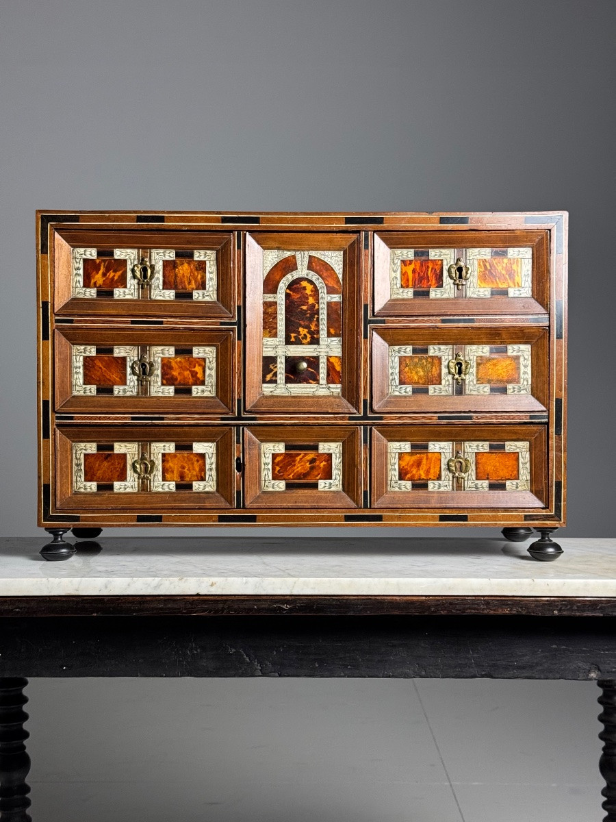 19th Century Art Cabinet In Wood With Ebony, Turtle And Bone Inlay-photo-1