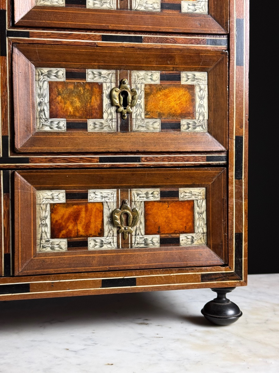 19th Century Art Cabinet In Wood With Ebony, Turtle And Bone Inlay-photo-2