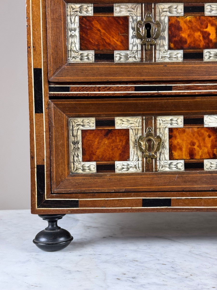 19th Century Art Cabinet In Wood With Ebony, Turtle And Bone Inlay-photo-3
