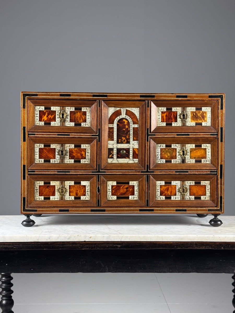 19th Century Art Cabinet In Wood With Ebony, Turtle And Bone Inlay-photo-4