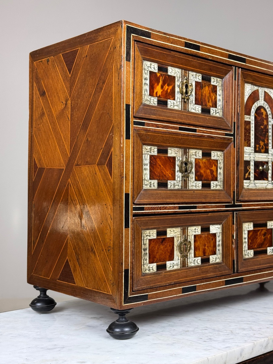 19th Century Art Cabinet In Wood With Ebony, Turtle And Bone Inlay-photo-7