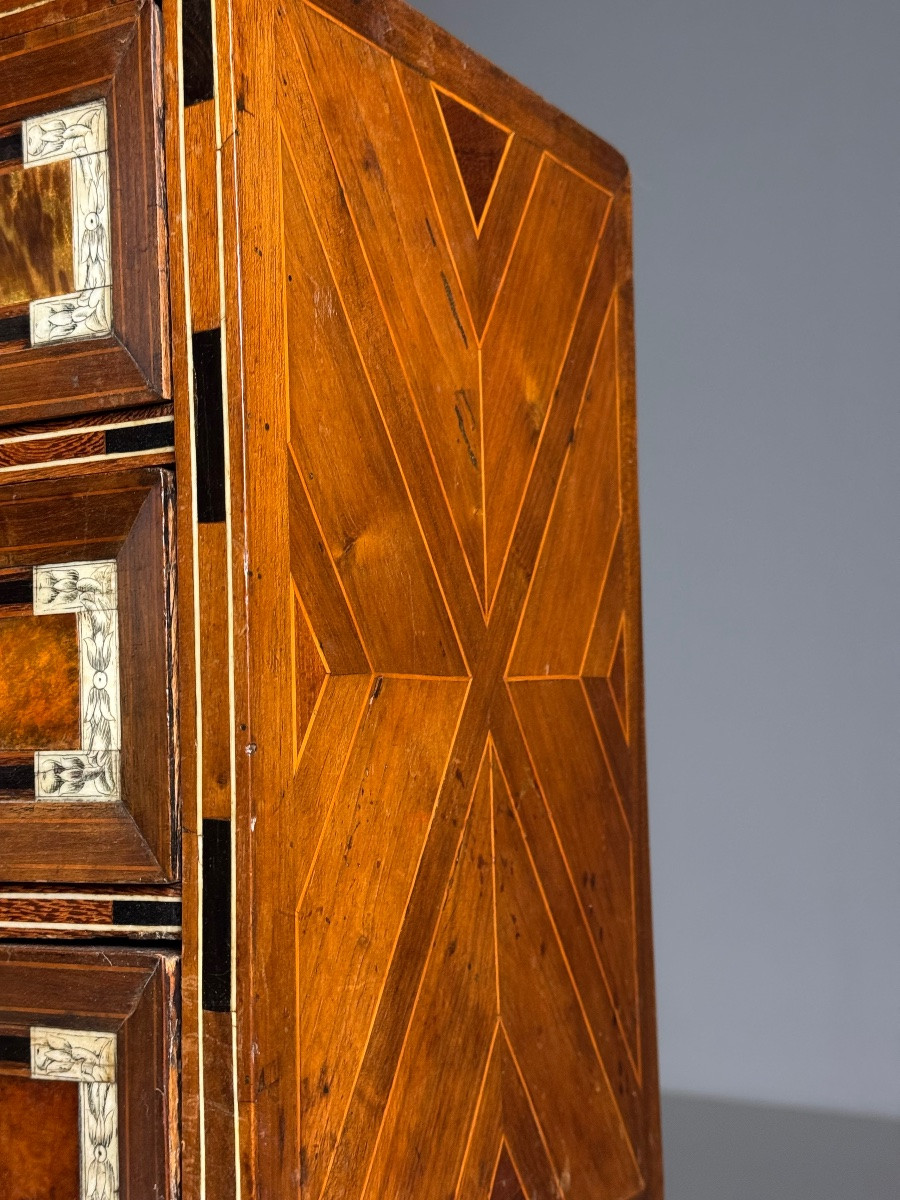 19th Century Art Cabinet In Wood With Ebony, Turtle And Bone Inlay-photo-8