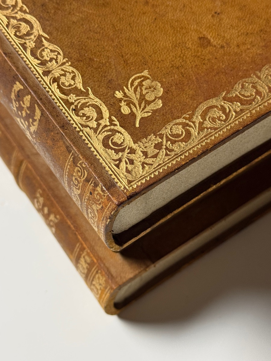 Étui à livres pour verres à whisky-photo-2