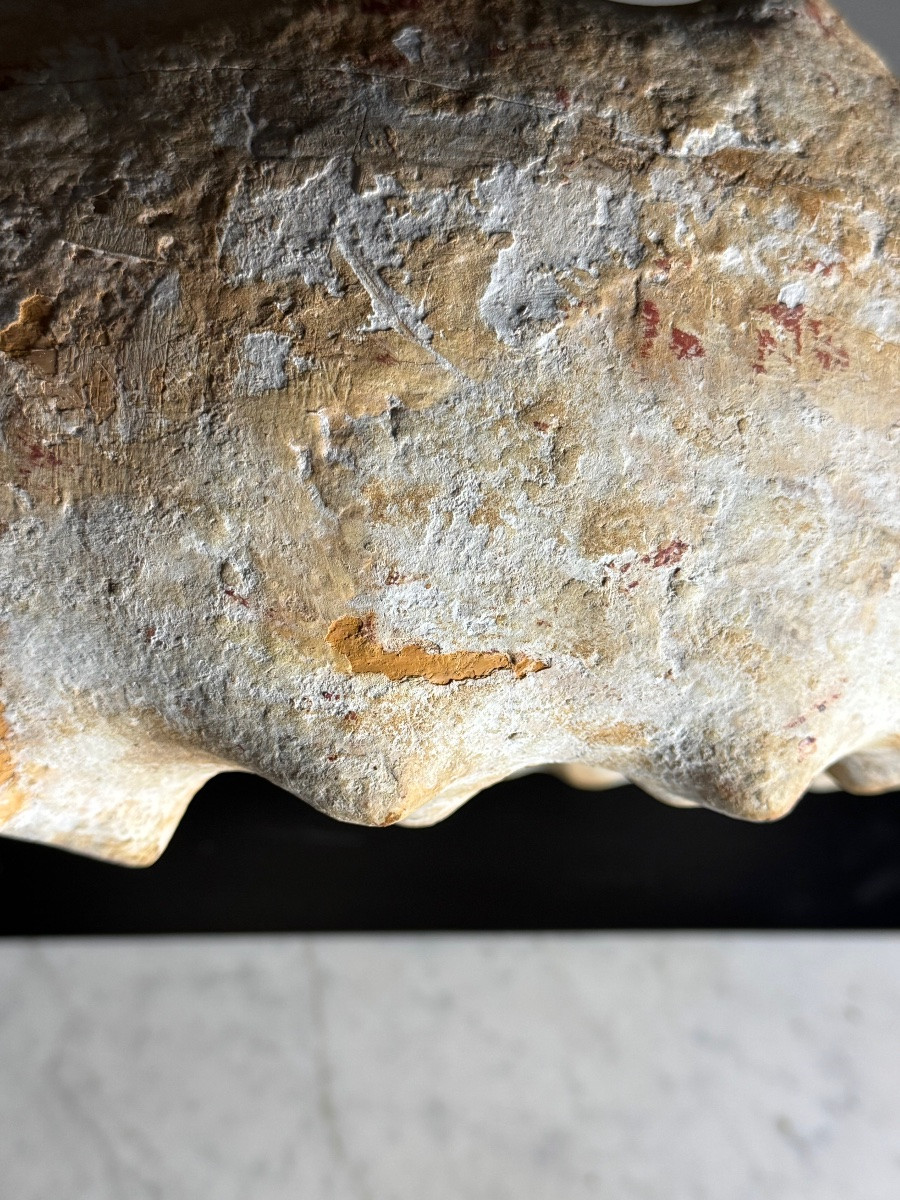 Ammonite Fossil XI On Stand-photo-6
