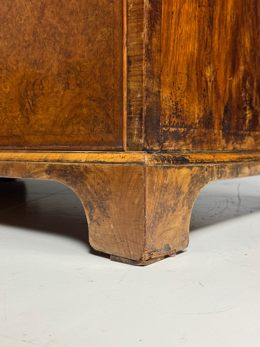 English Burr Walnut Bookcase, 19th Century-photo-4