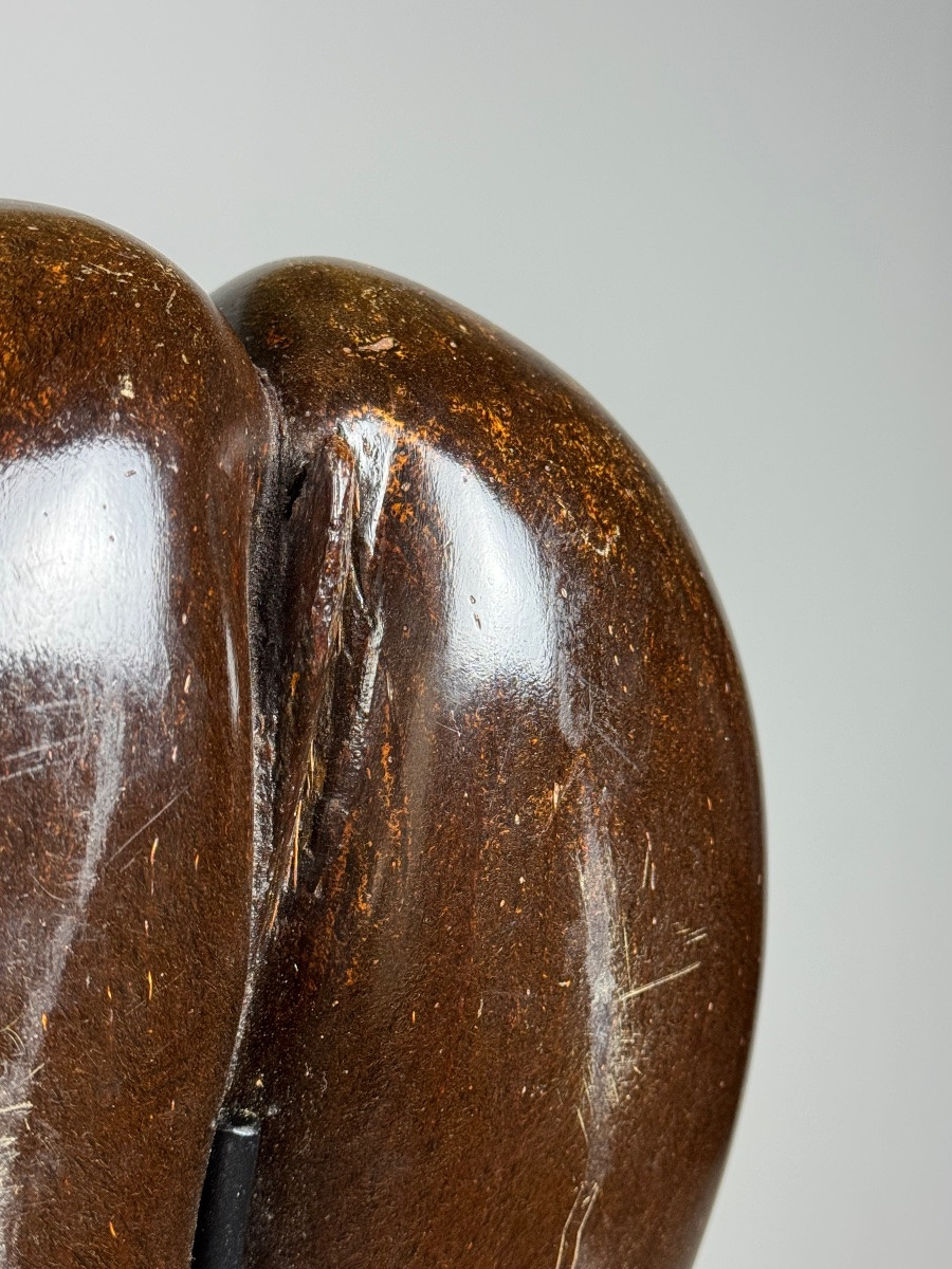 Polished Sea Coconut-photo-2