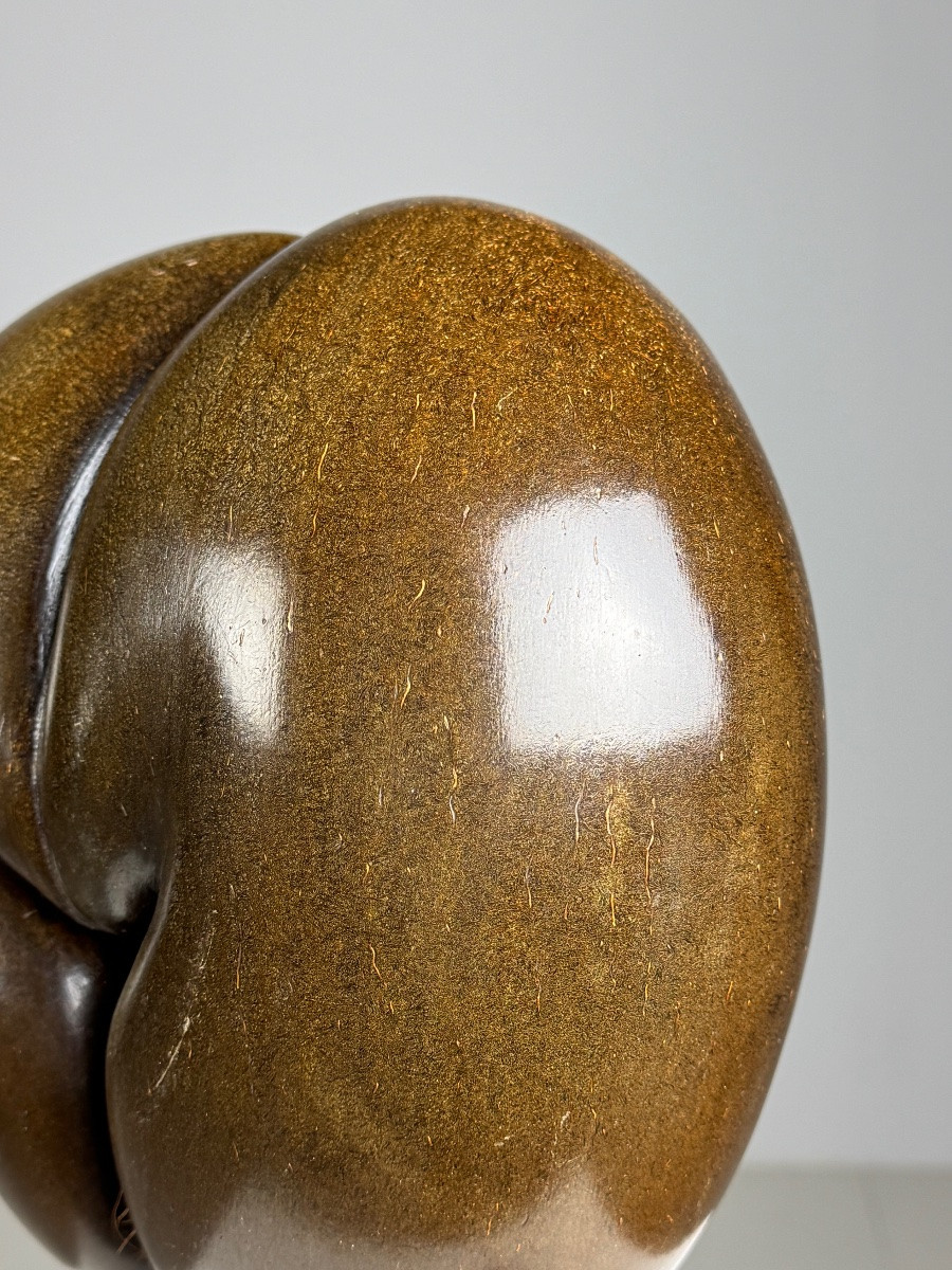 Polished Sea Coconut-photo-6